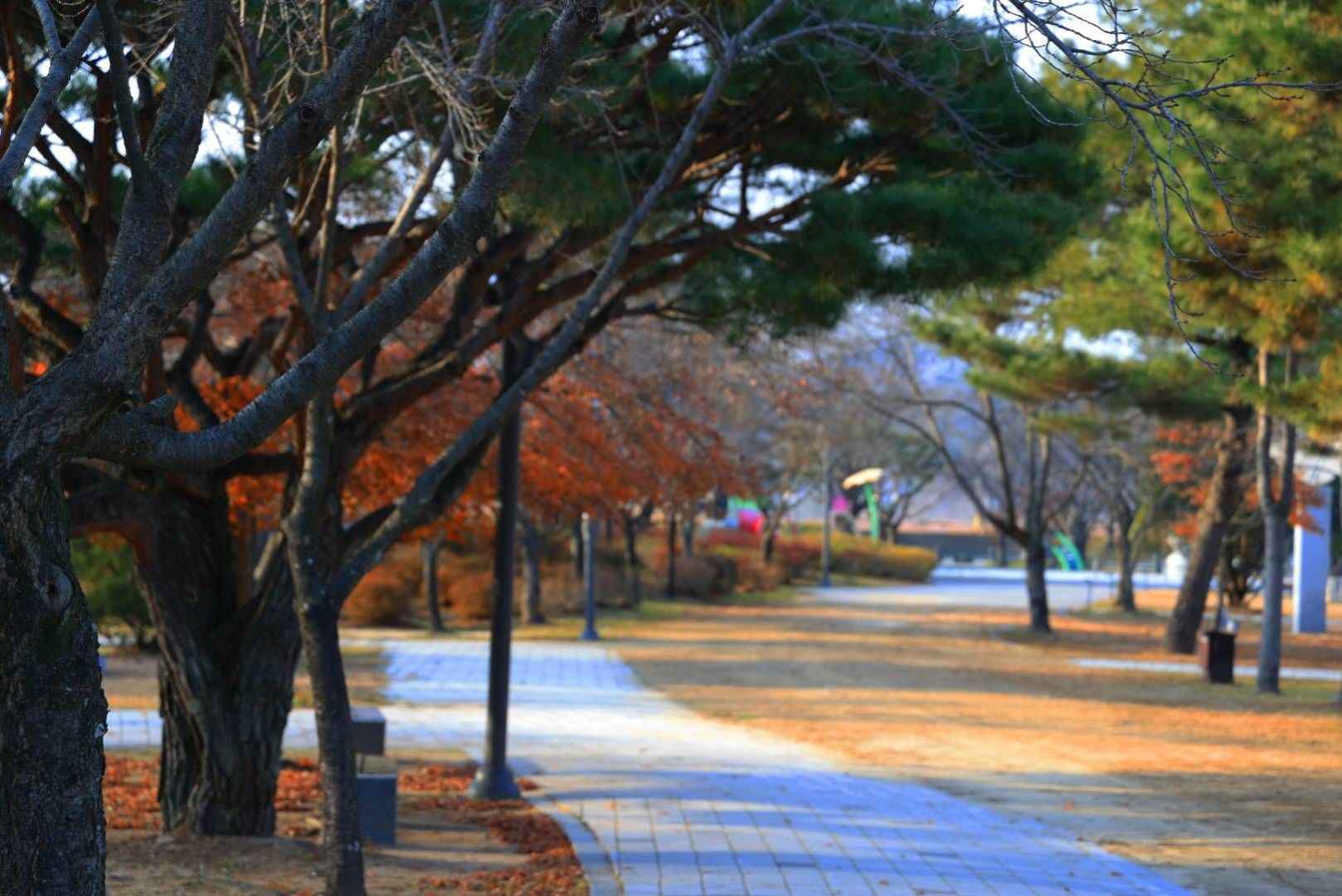 부여 백마강 친환경 자전거길 이미지 4