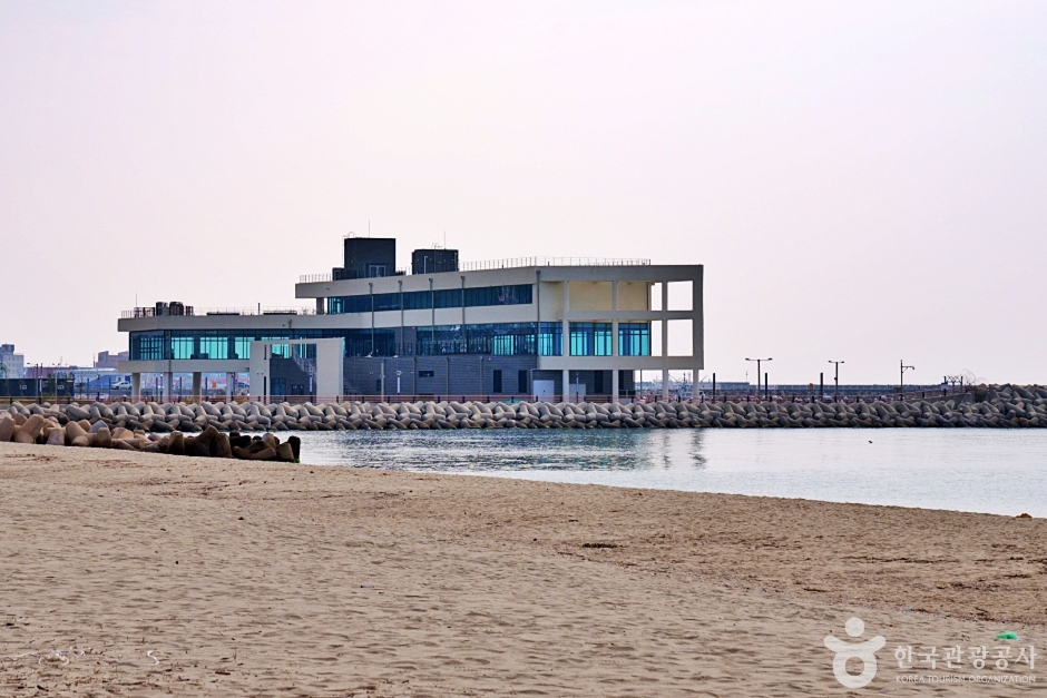 후포해수욕장 이미지 4