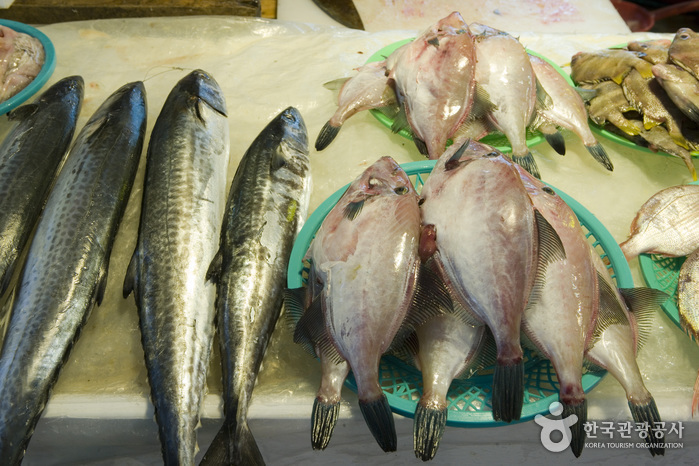 서귀포매일올레시장 이미지 4