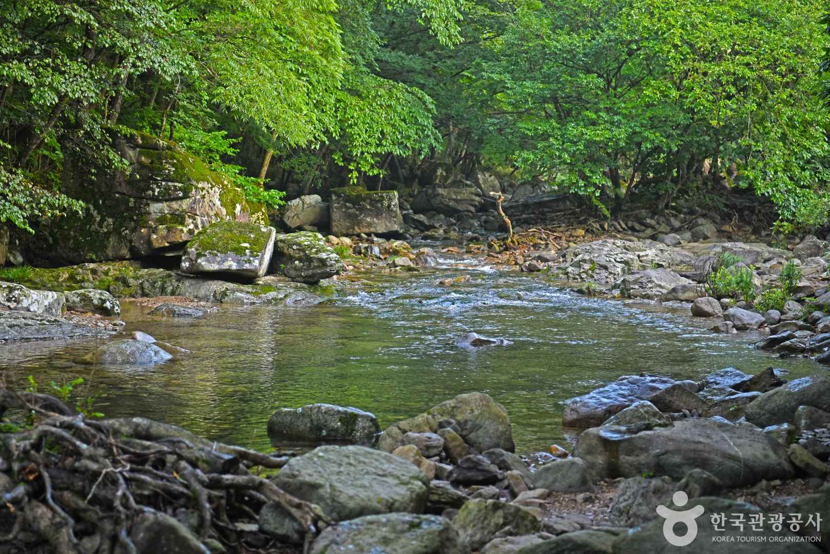 남창계곡 이미지 5