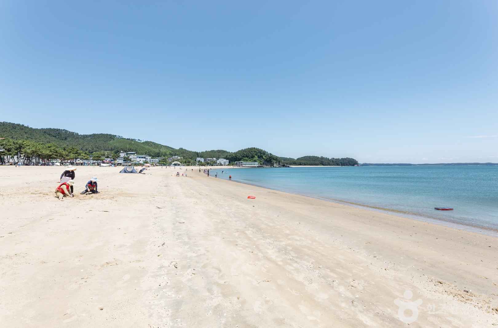 연포해수욕장 이미지 7