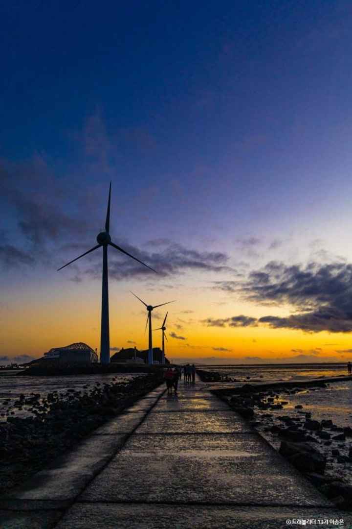 탄도항누에섬 이미지 3