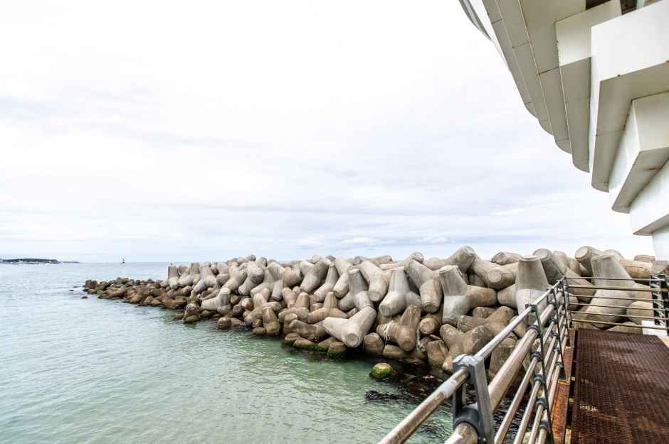 사근진 해중공원 전망대 이미지 3