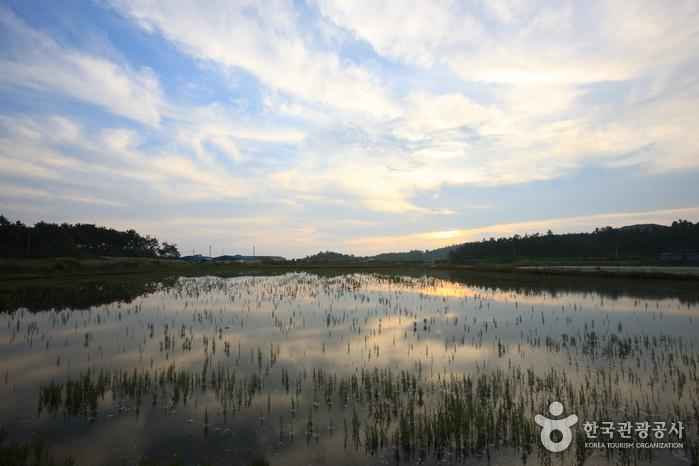 암태도 이미지 2