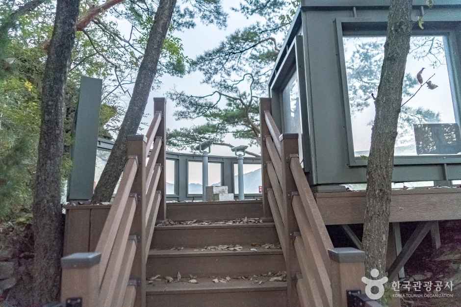 정선 나리소전망대 이미지 2