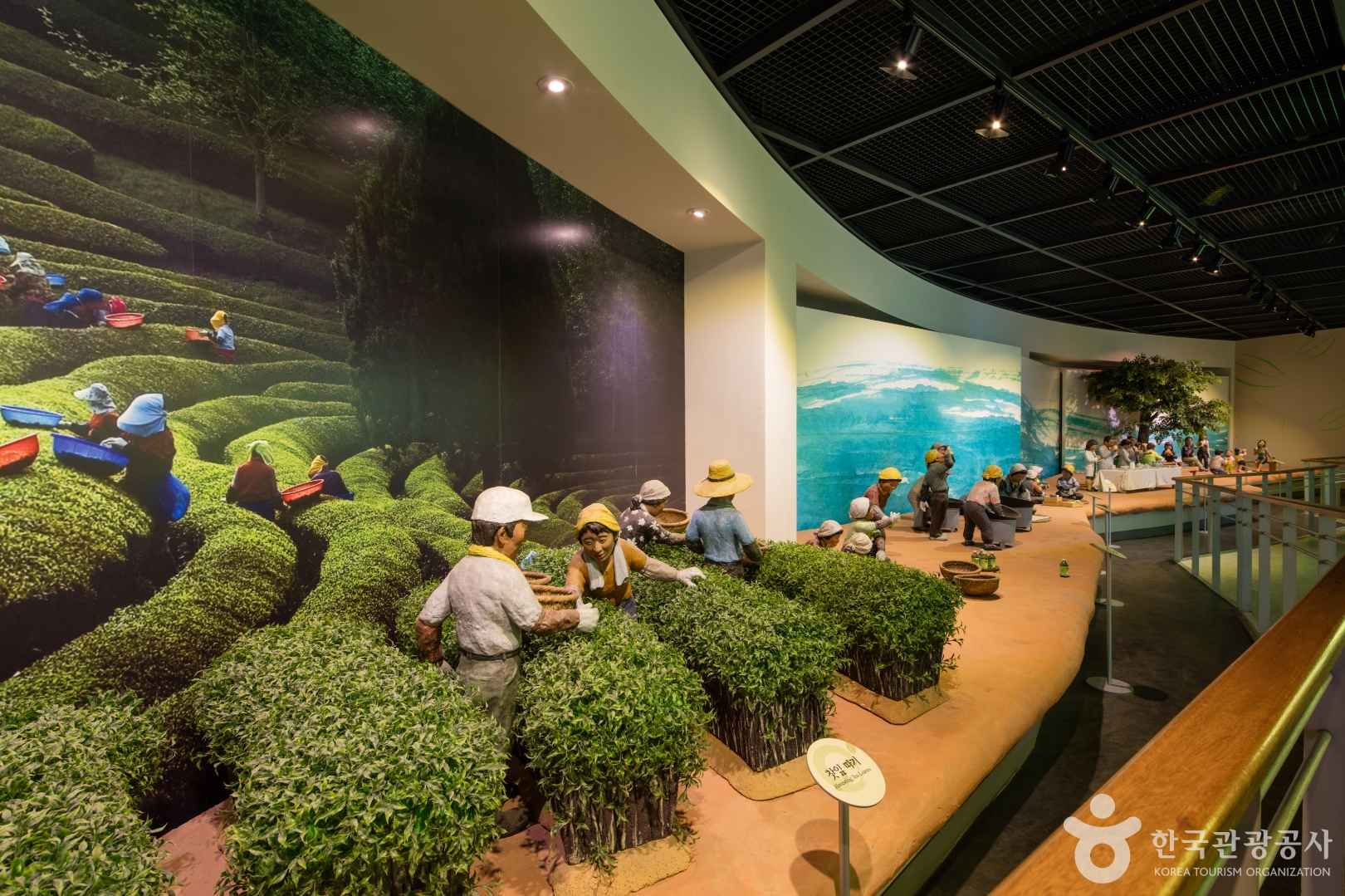 한국차박물관 이미지 2