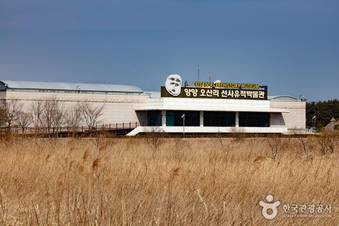 오산리선사유적박물관 이미지 1