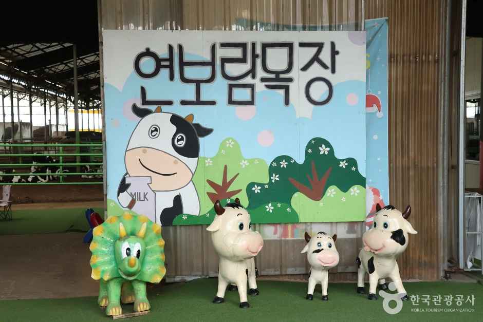 연보람목장 이미지 1