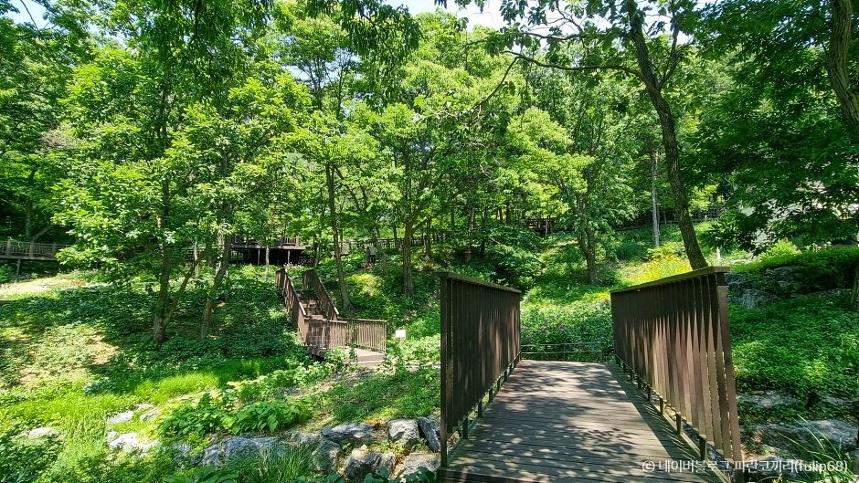 율곡수목원 이미지 2