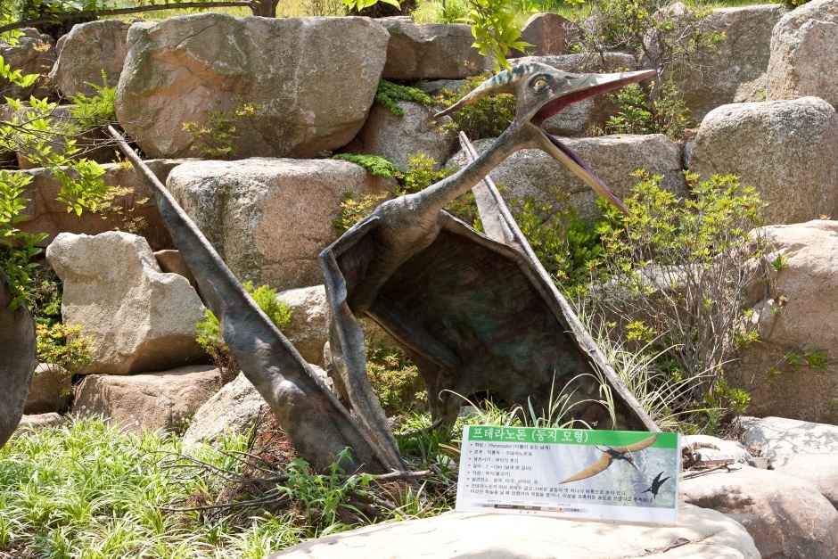 안면도 쥬라기박물관 이미지 5