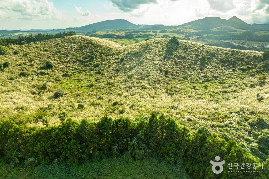 제주 손지오름 이미지 4