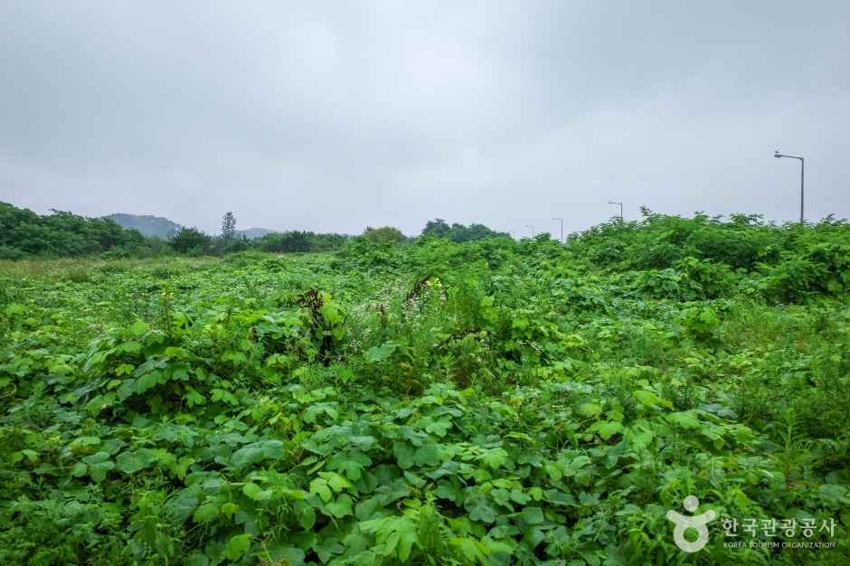 메추리섬 이미지 2