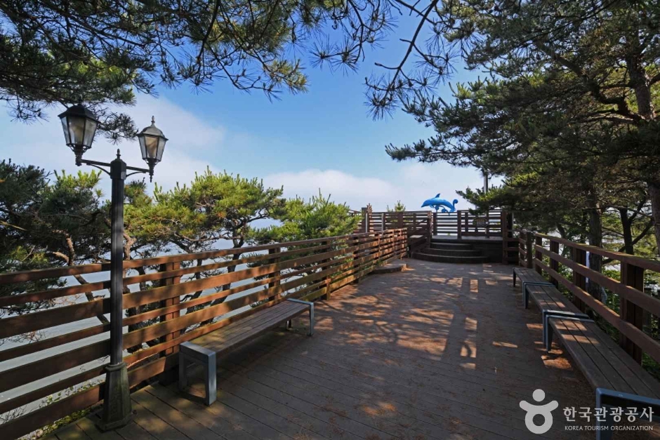 속동전망대 이미지 7