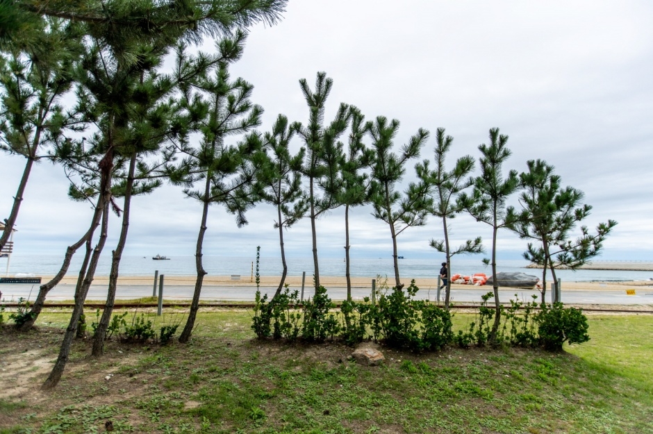 강릉 모래시계공원 이미지 7
