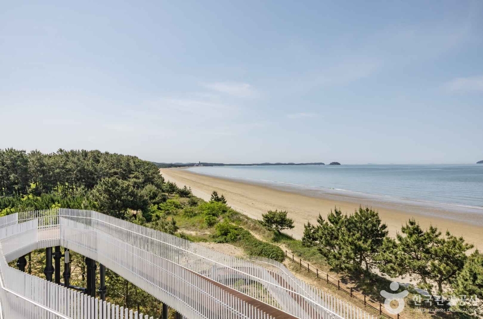 몽산포해수욕장 이미지 2