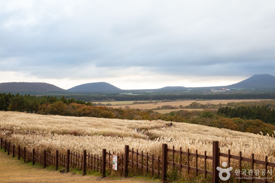 산굼부리 이미지 3