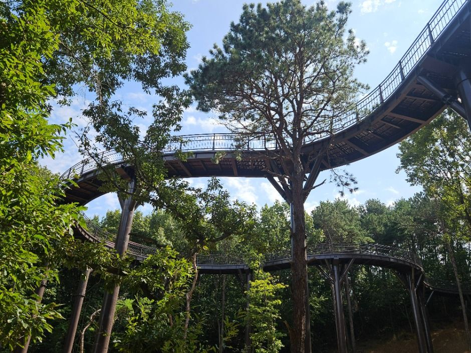 금광호수 이미지 7