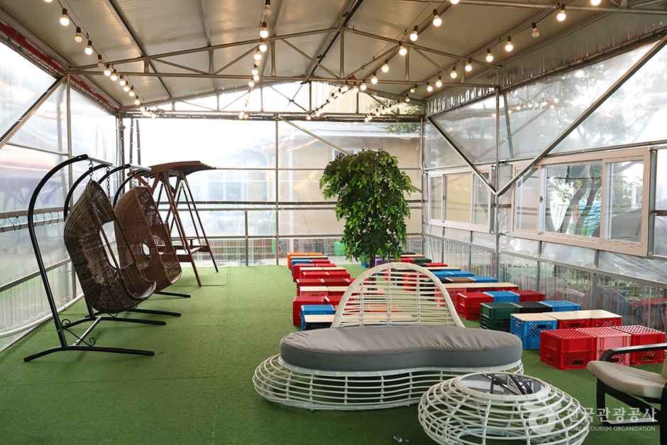 연보람목장 이미지 5