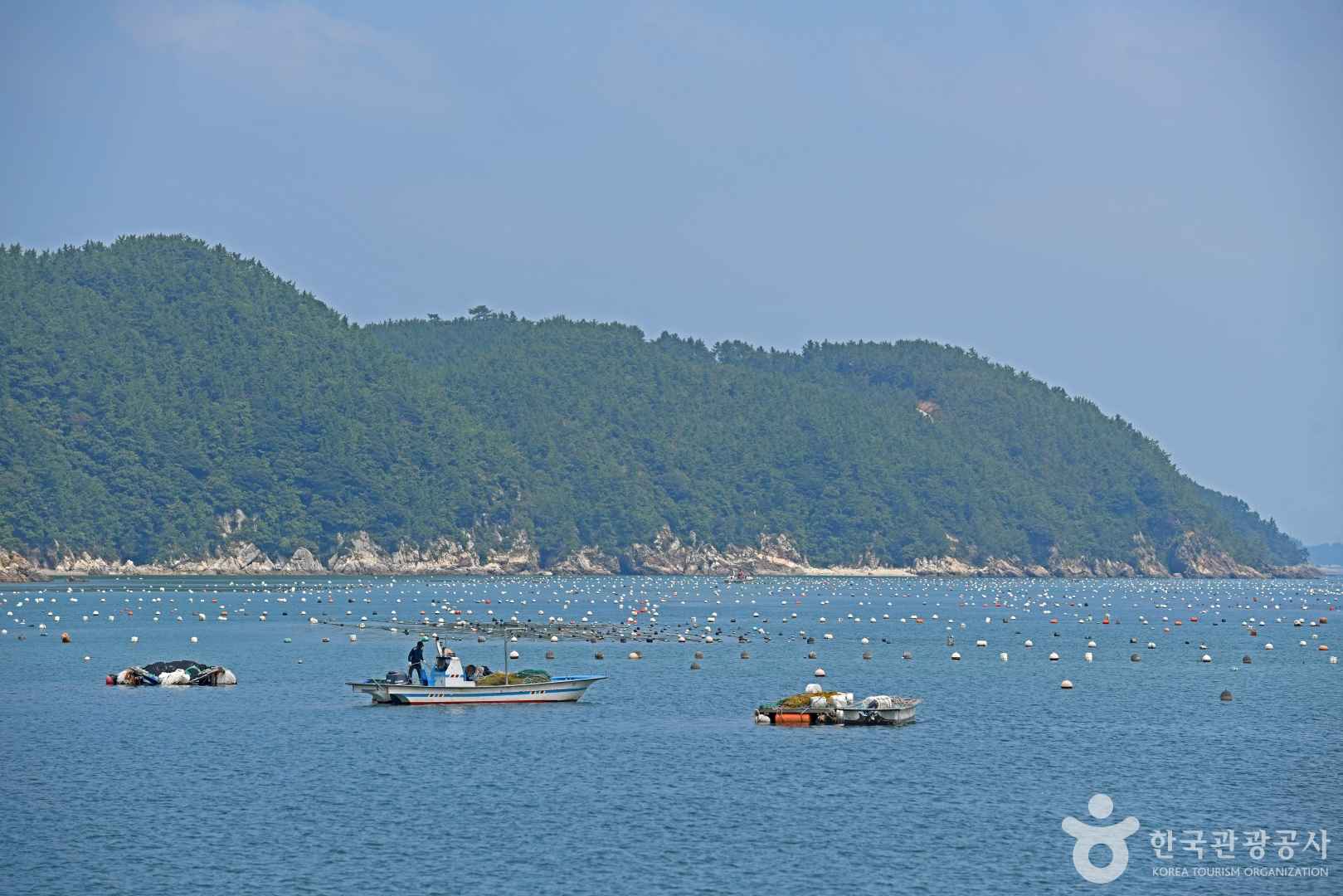 약산도(조약도) 이미지 4