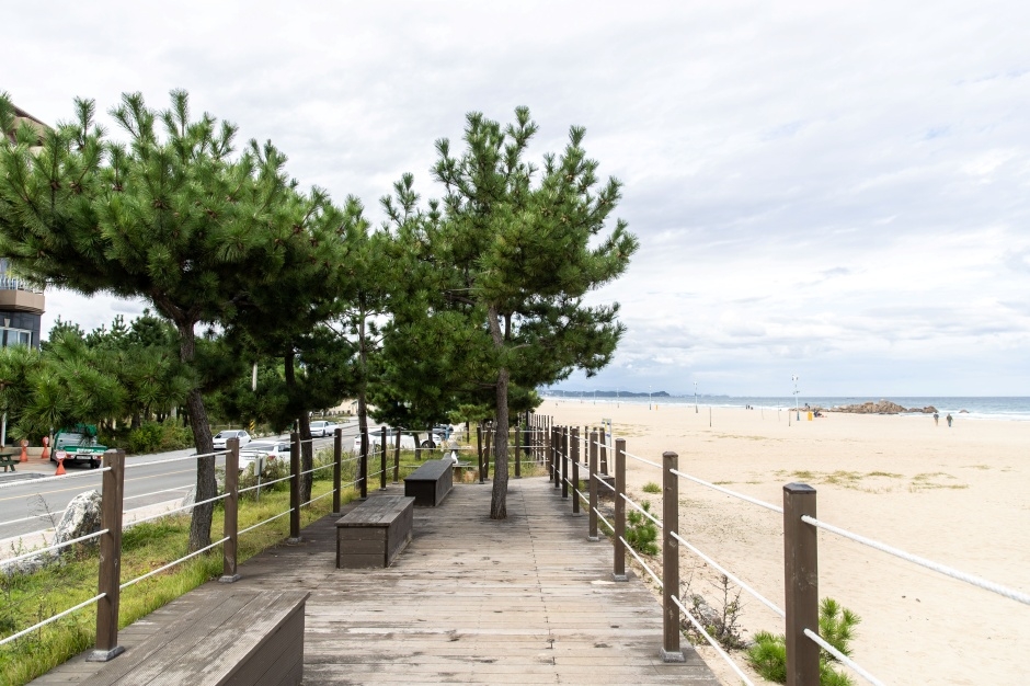 하조대해수욕장 이미지 5