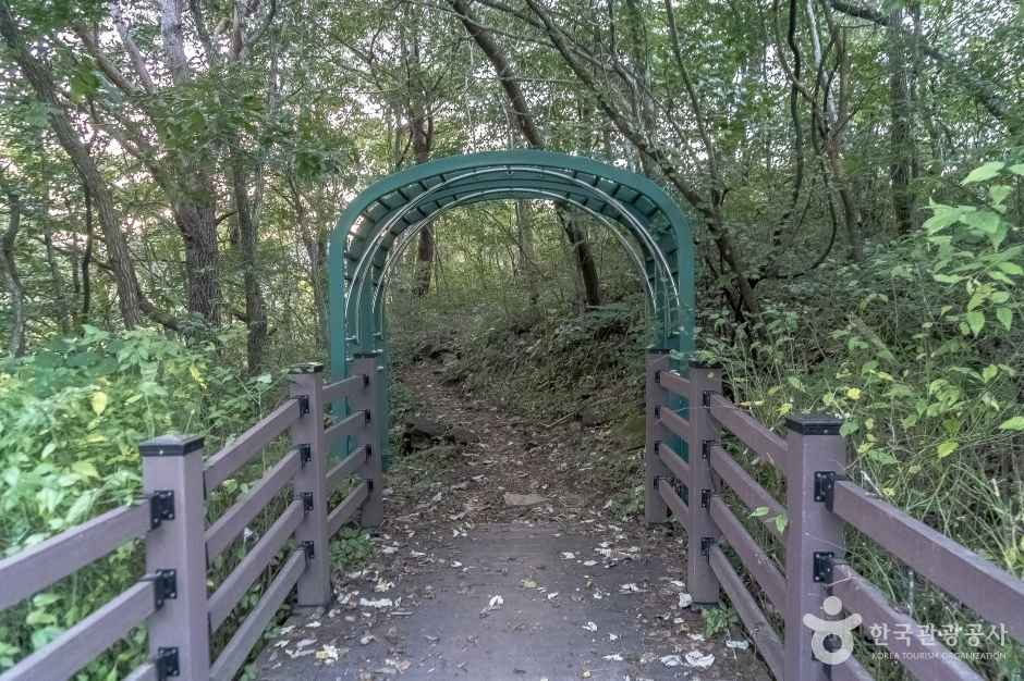 정선 나리소전망대 이미지 6