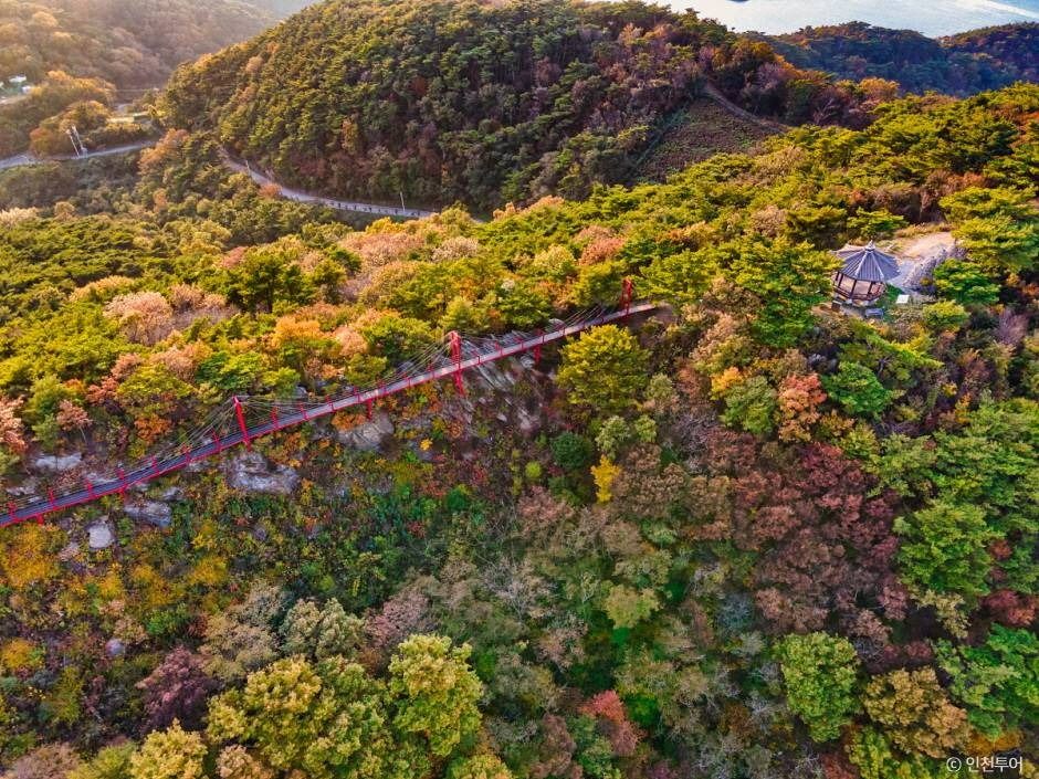 옹진군 부아산 구름다리 이미지 2