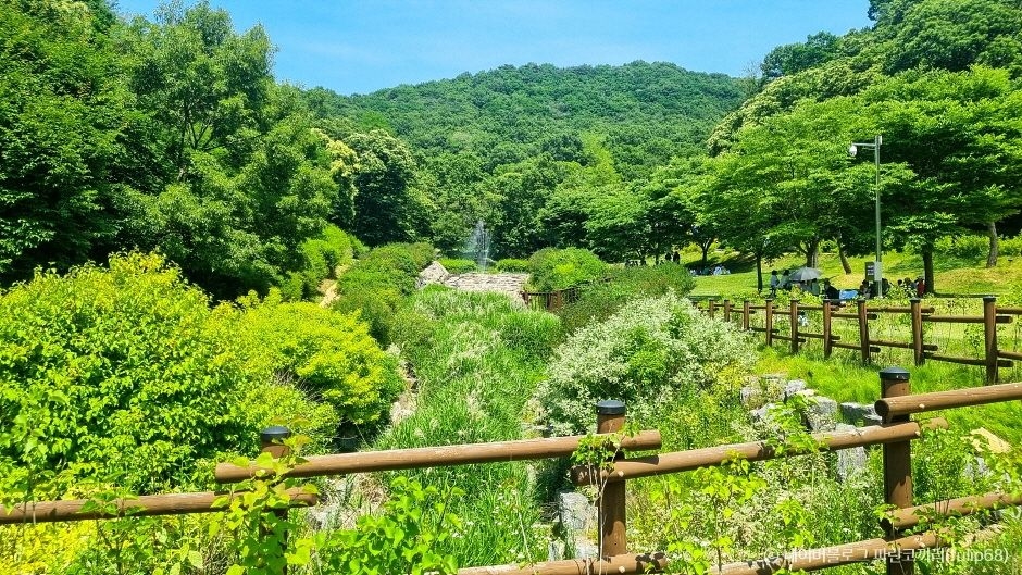 율곡수목원 이미지 3