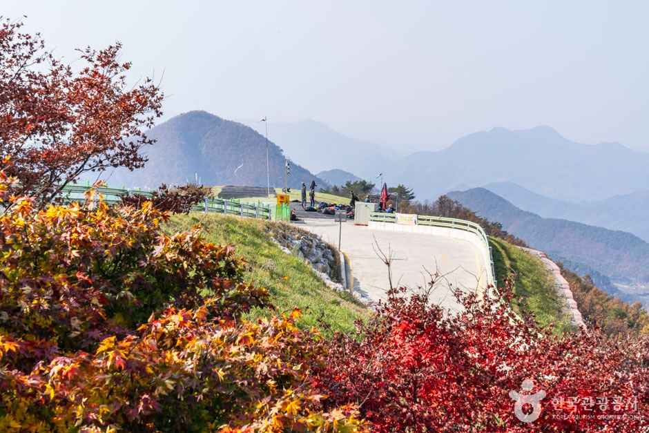 단양 양방산전망대 이미지 2