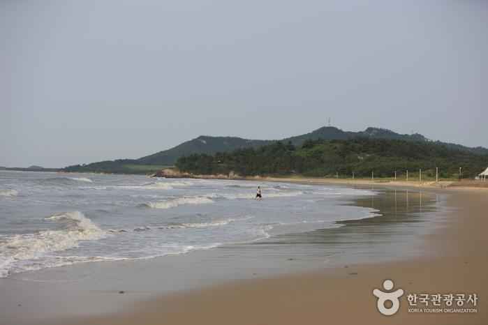 임자도 이미지 2