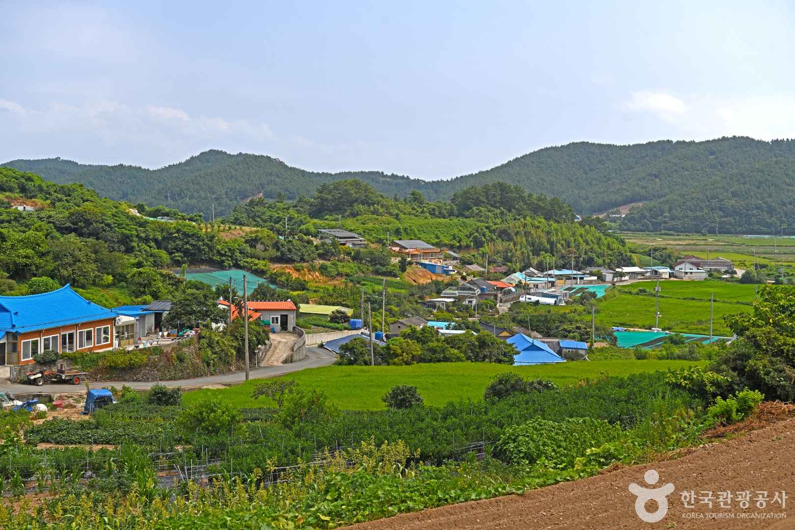 약산도(조약도) 이미지 1