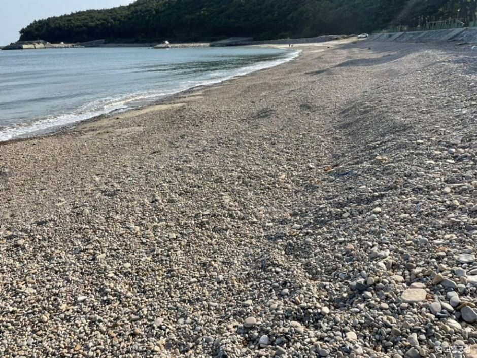 금장해수욕장 이미지 7