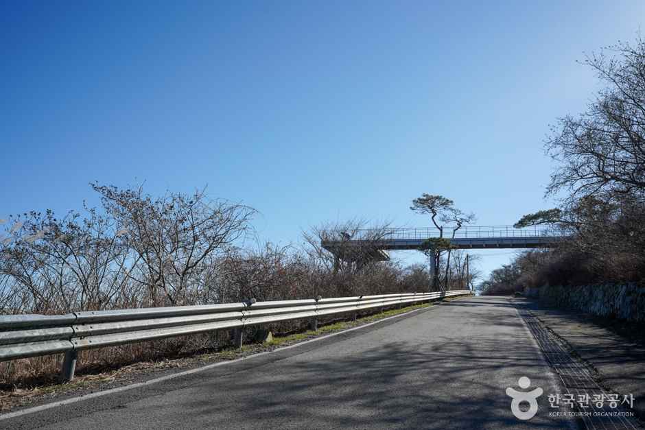 하동 금오산전망대 이미지 7