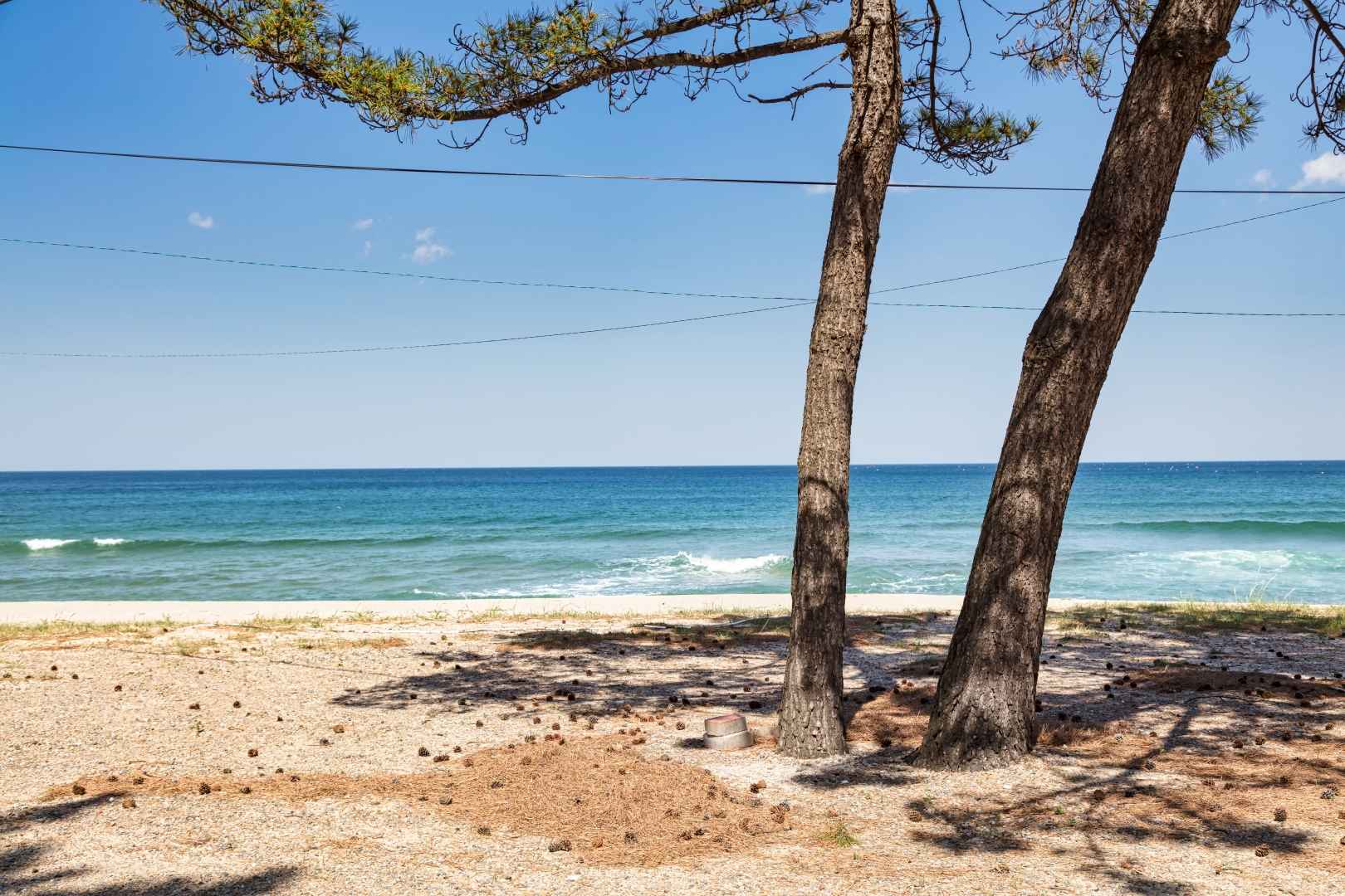 잔교리해수욕장 이미지 7