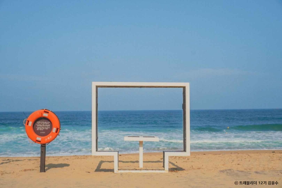 봉포해변 이미지 3