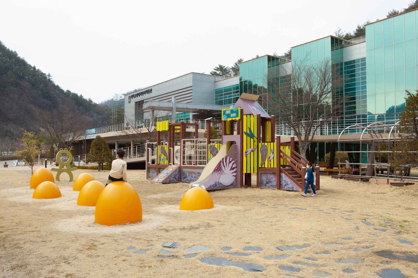 태백 고생대 자연사박물관 이미지 3