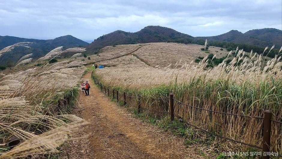 경주 무장산 이미지 3