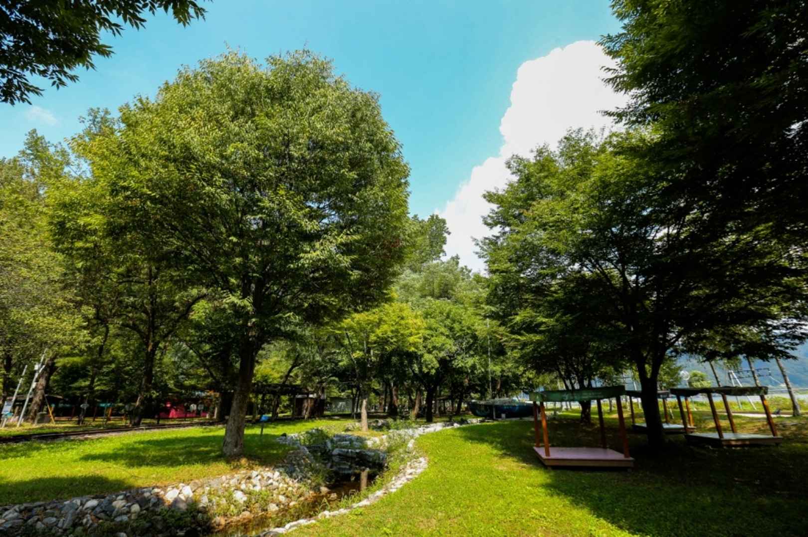 붕어섬 이미지 8