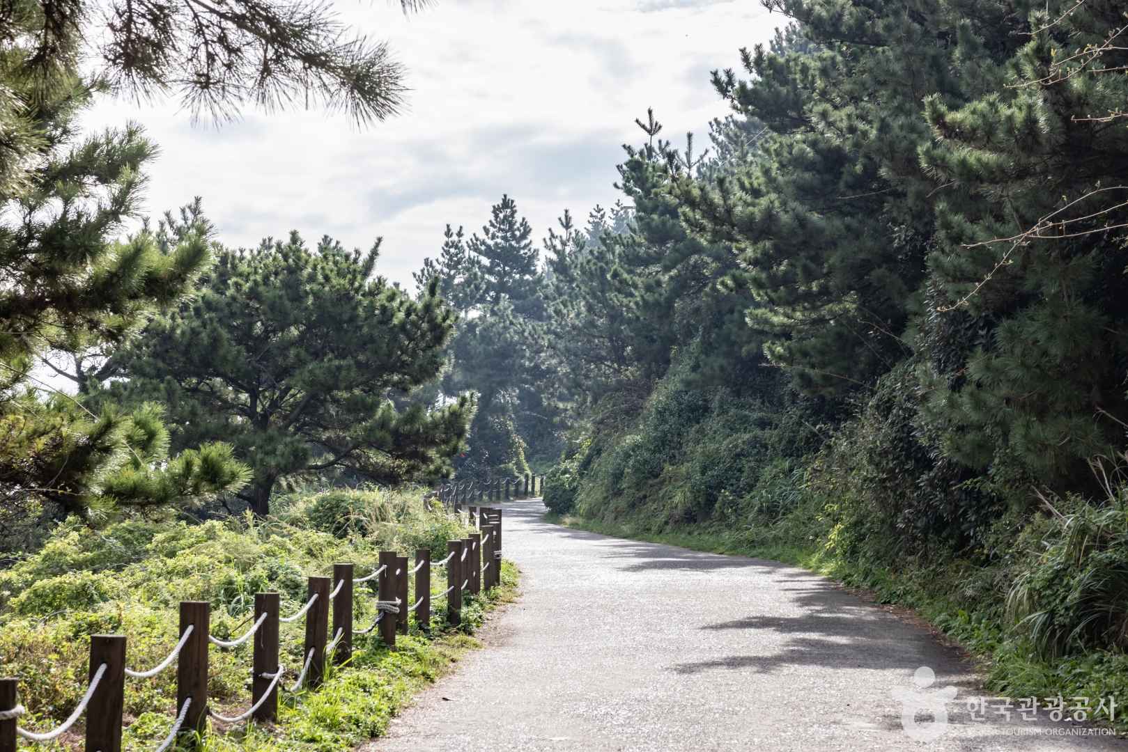 송악산전망대 이미지 2
