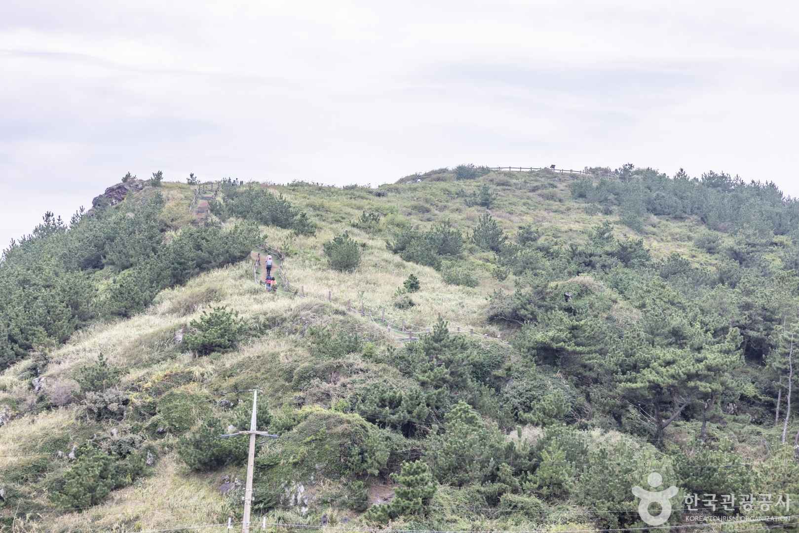 송악산전망대 이미지 5