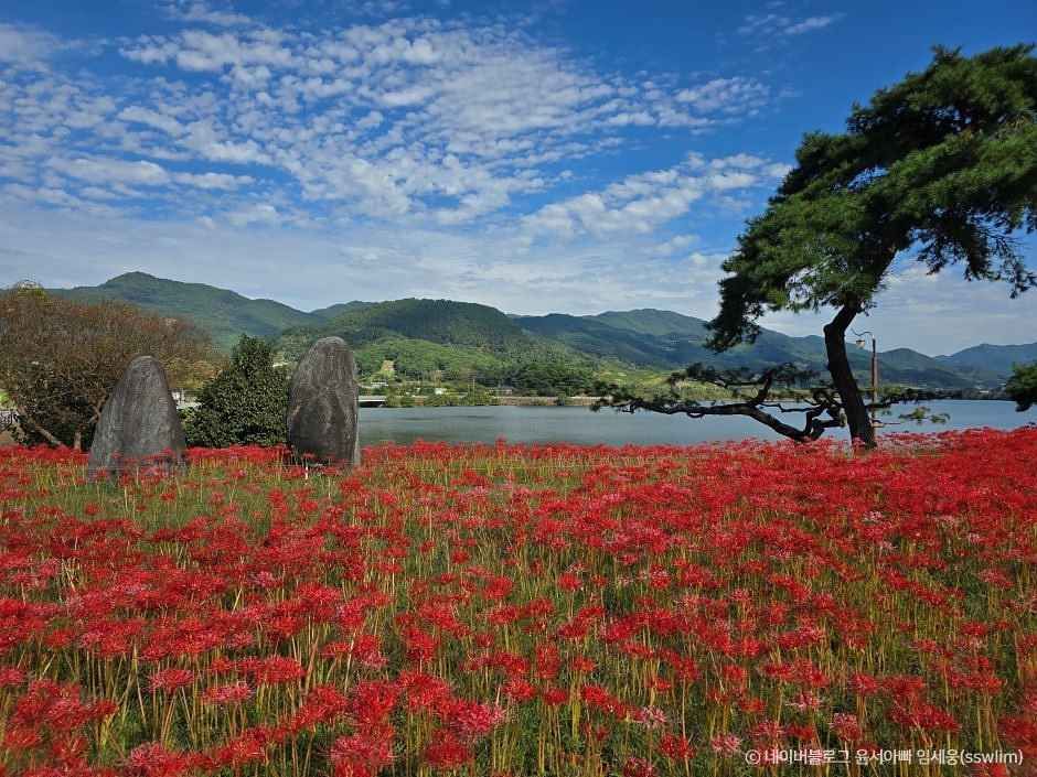 지리산치즈랜드 이미지 6