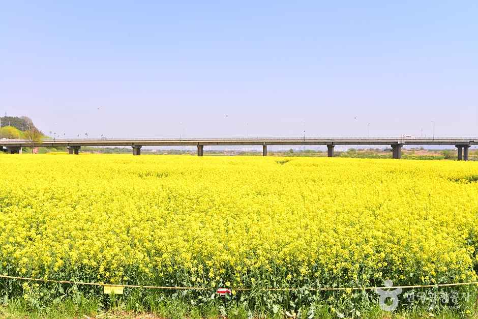 전남 영산강둔치체육공원 이미지 1