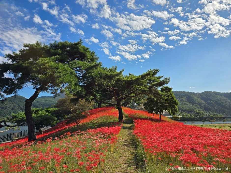 지리산치즈랜드 이미지 5