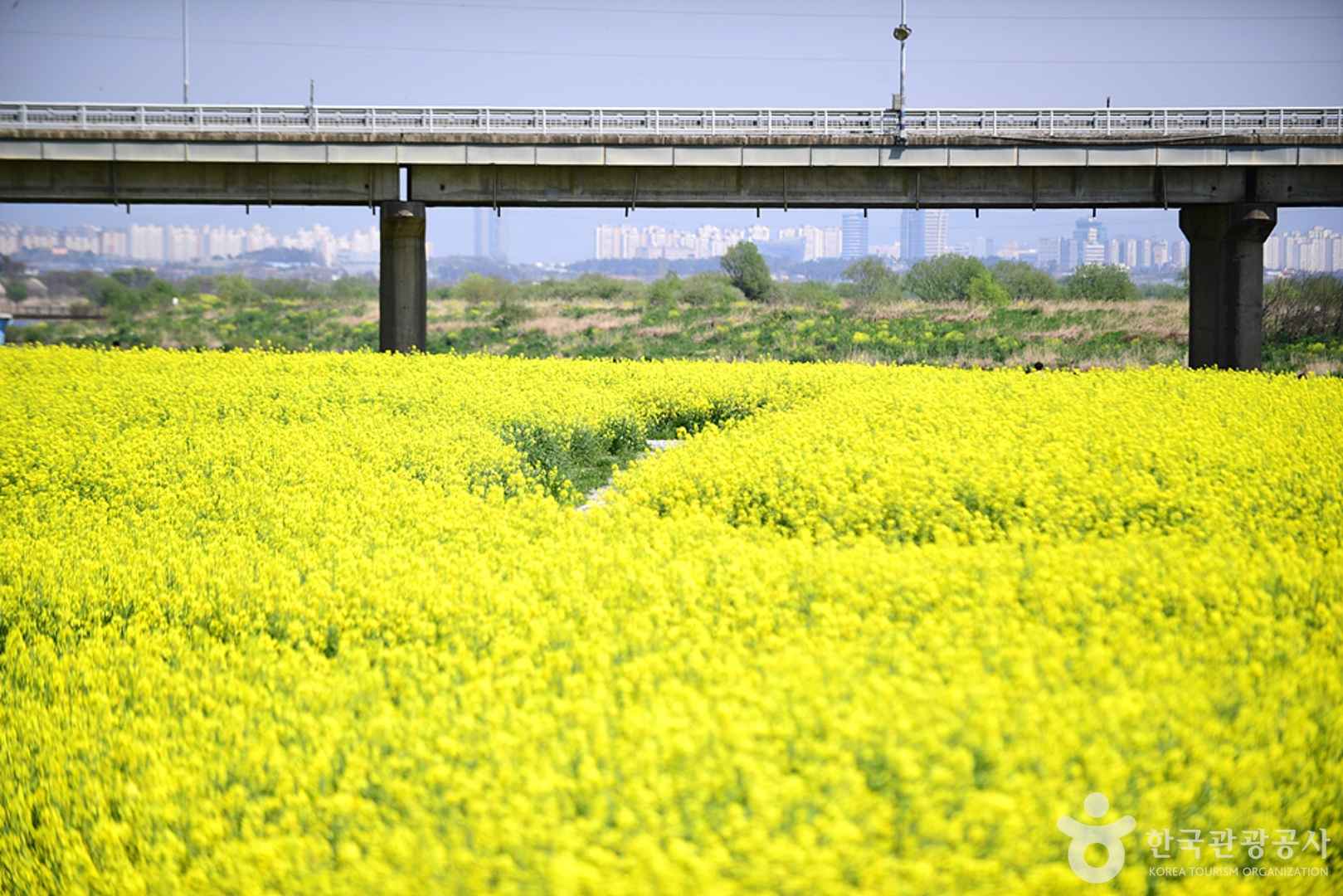 전남 영산강둔치체육공원 이미지 4