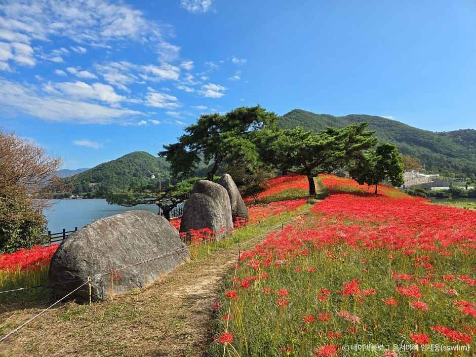 지리산치즈랜드 이미지 4