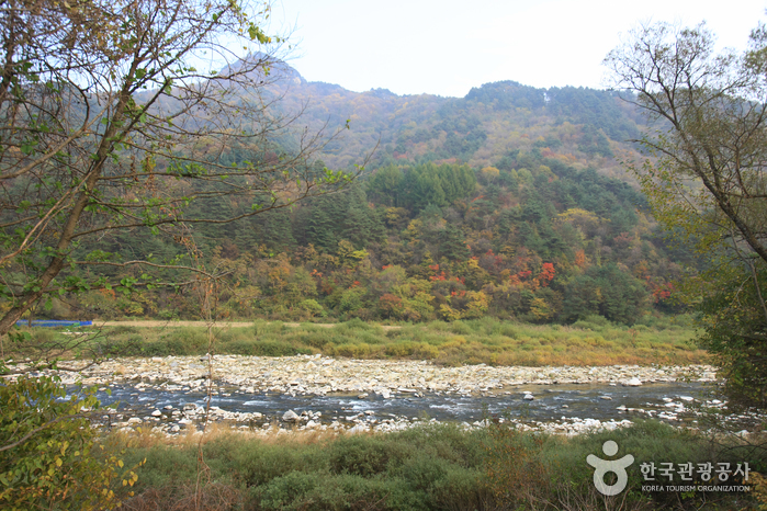 금당계곡 이미지 5