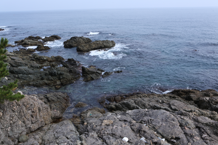 영덕 대부정합 (경북 동해안 국가지질공원) 이미지 3