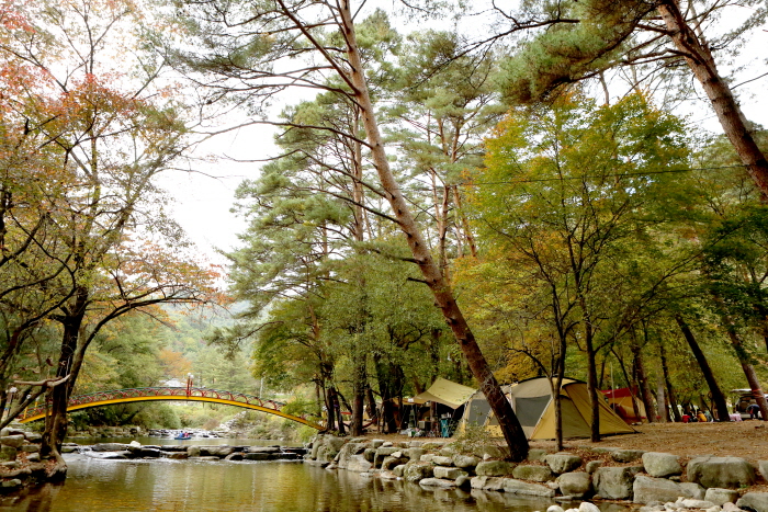 금당계곡 이미지 1