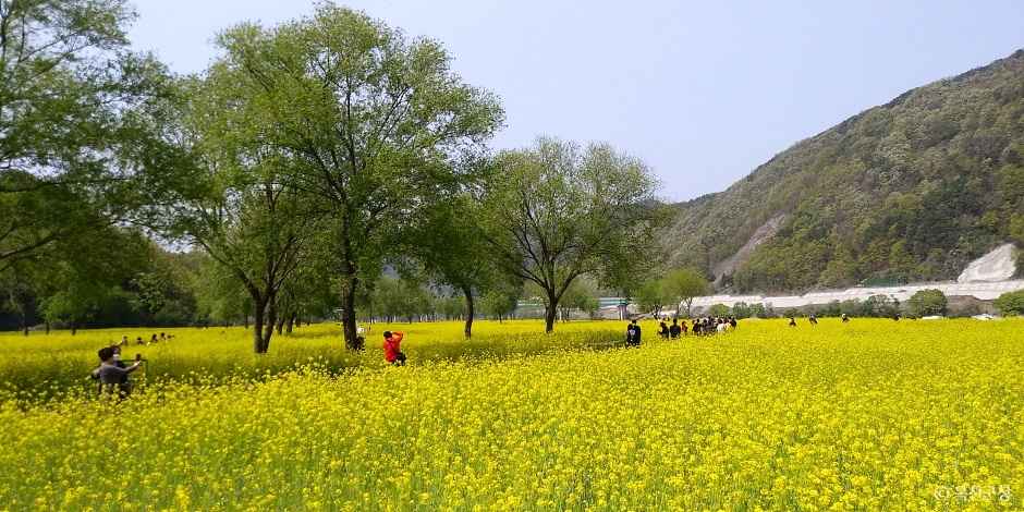 옥천금강수변 친수공원 이미지 3