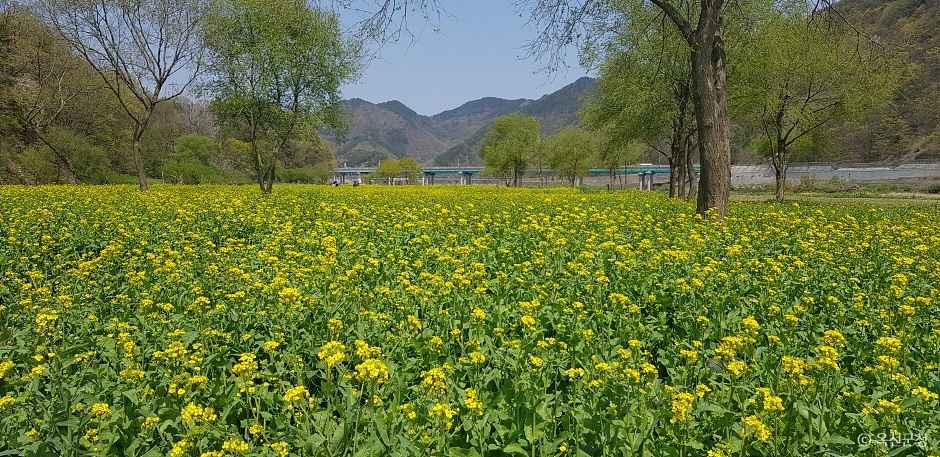 옥천금강수변 친수공원 이미지 2