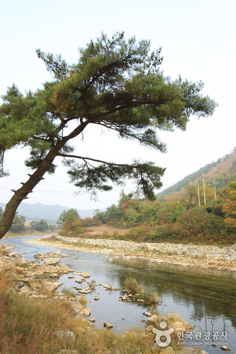 금당계곡 이미지 6